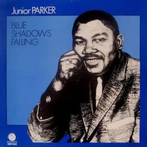 You Don't Have to Be Black to Love the Blues