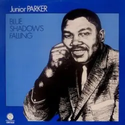 You Don't Have to Be Black to Love the Blues