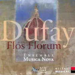 Flos florum