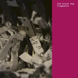 Fragments