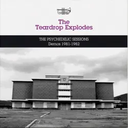 The Psychedelic Sessions Demos 1981–1982
