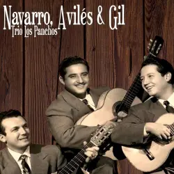 Navarro, Avilés & Gil Navarro, Avilés & Gil