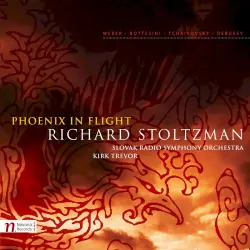 Phoenix in Flight