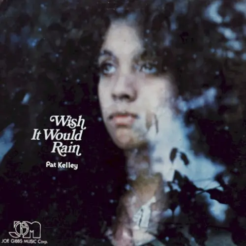 Wish It Would Rain