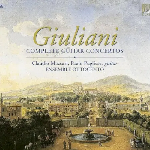 Complete Guitar Concertos