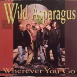 Wherever You Go