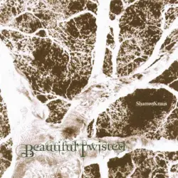 Beautiful Twisted