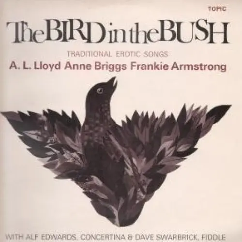 The Bird in the Bush