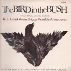 The Bird in the Bush