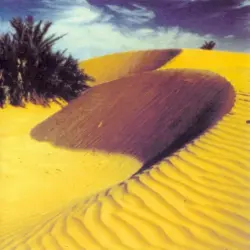 Death Seed