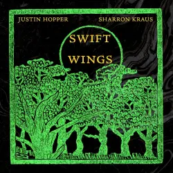 Swift Wings