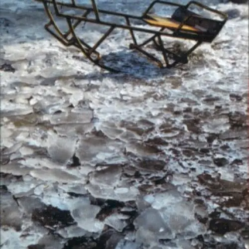 Джут