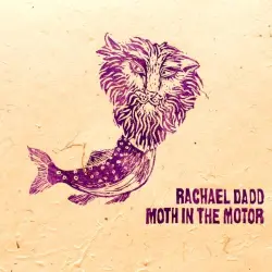 Moth in the Motor
