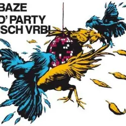 D'Party isch vrbi