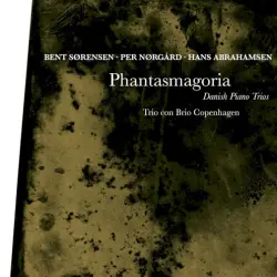 Phantasmagoria: Danish Piano Trios