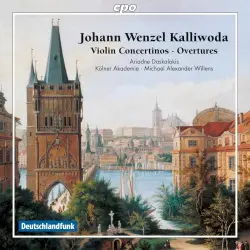 Violin Concertinos / Overtures