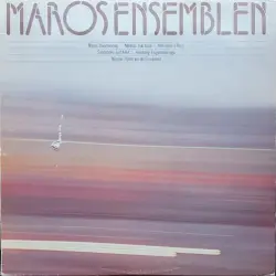 Maros: Divertimento / Mellnäs: Sub Luna / Rózmann: 5 pezzi / Sandström: Just a Bit / Hemberg: En gammal saga / Nilsson: Flöten aus der Einsamkeit
