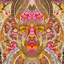 ANCoA Vol.1