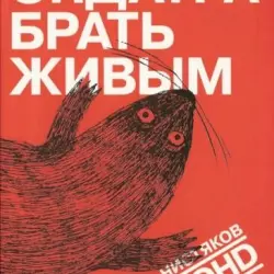 Ондатра брать живым