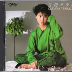 貝殻テラス 貝殻テラス