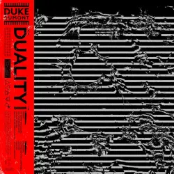 Duality