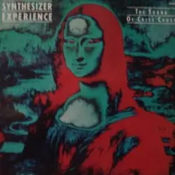 Synthesizer Experience
