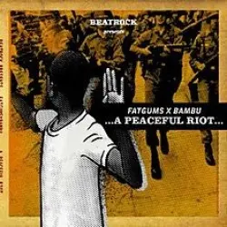 A Peaceful Riot