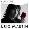 Mr. Vocalist 3