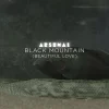 Black Mountain (Beautiful Love)