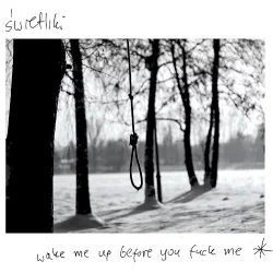 Wake Me Up Before You Fuck Me