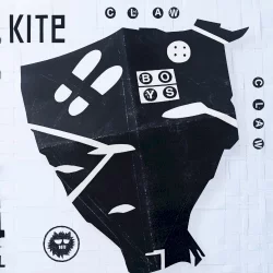 Kite