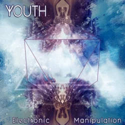 Electronic Manipulation