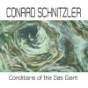 Conditions of the Gas Giant