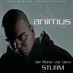 Die Ruhe vor dem Sturm