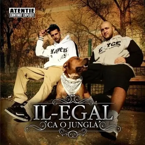Ca o junglă