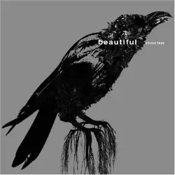 beautiful