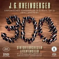 Sinfonisches Tongemälde in D-moll, op. 10 "Wallenstein"