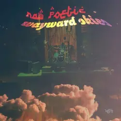 Wayward Skies