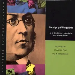 Neonlys på Wergeland