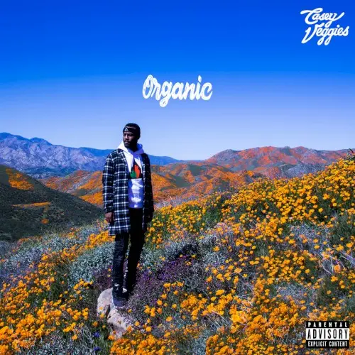 Organic