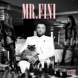 Mr. Fini