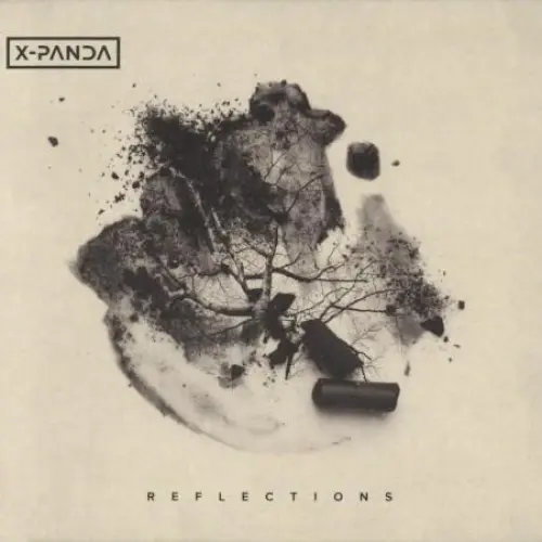 Reflections
