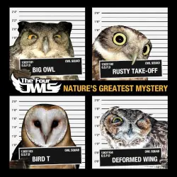 Nature’s Greatest Mystery