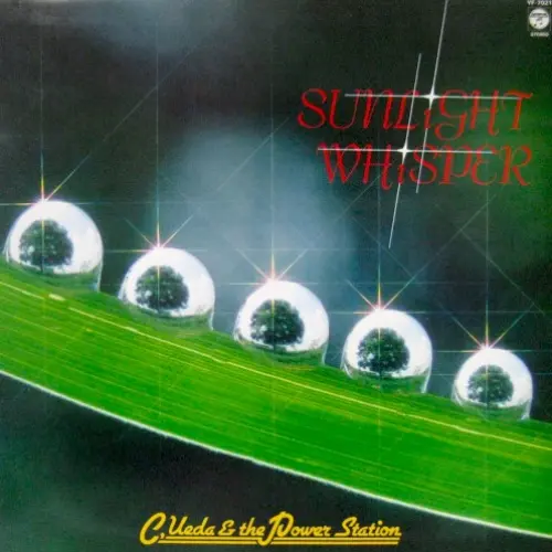 Sunlight Whisper