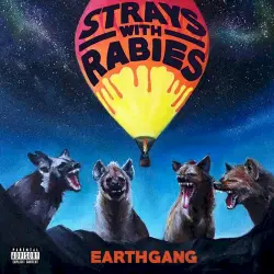 Strays with Rabies