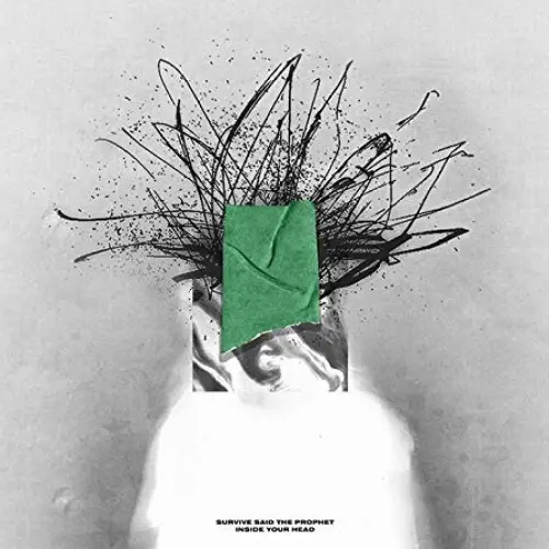 Inside Your Head