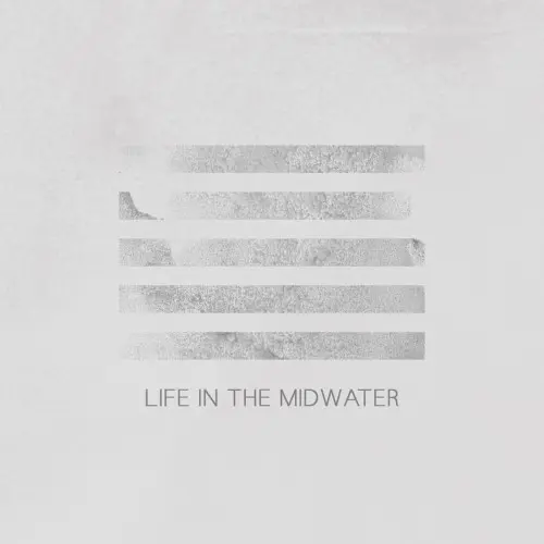 Life in the Midwater