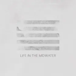 Life in the Midwater
