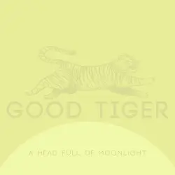 A Head Full of Moonlight