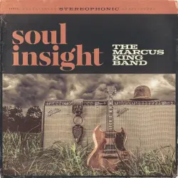 Soul Insight
